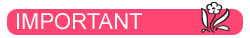 Important SLAM Laurentides